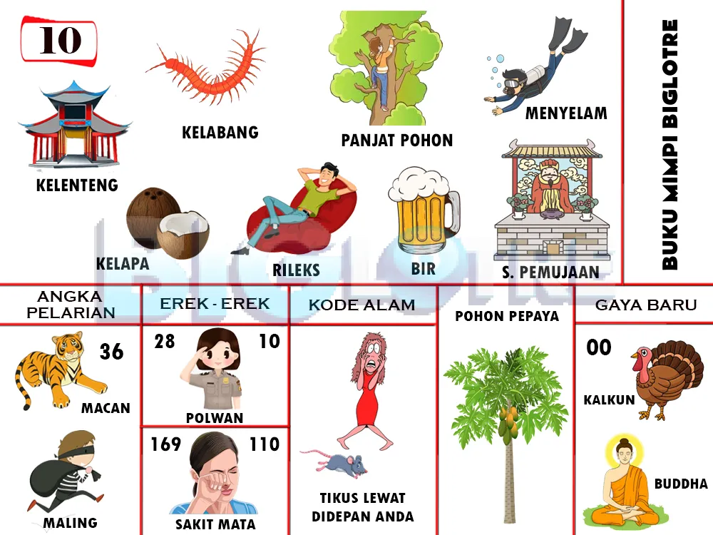 buku mimpi erek erek togel 10