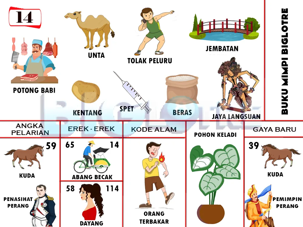 buku mimpi erek erek togel 14
