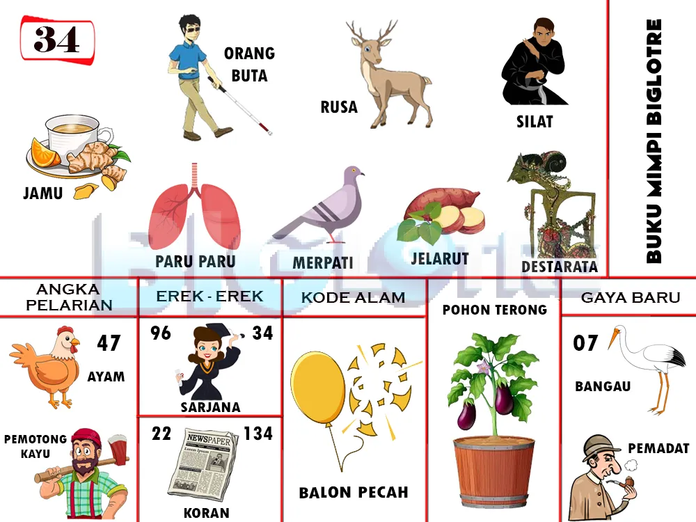 buku mimpi erek erek togel 34