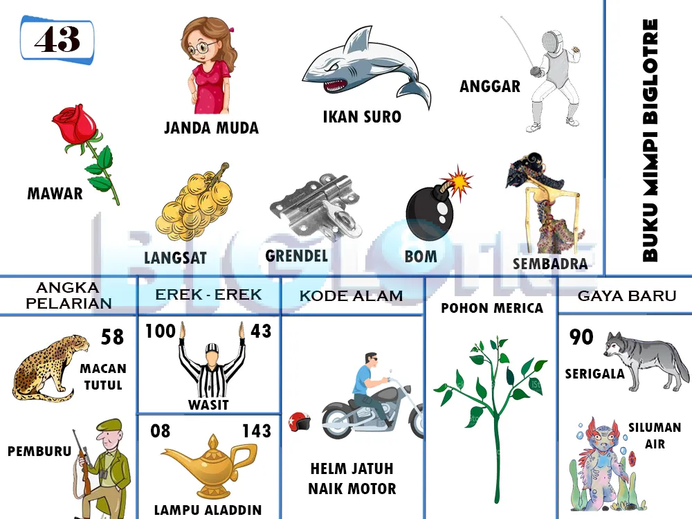 buku mimpi erek erek togel 43