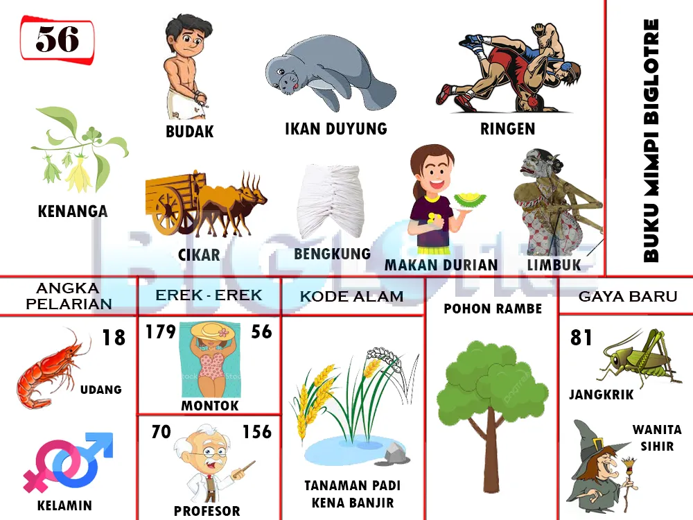 buku mimpi erek erek togel 56